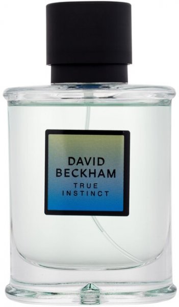 عطر ديفيد بيكهام ترو إنستينكت 100 مل