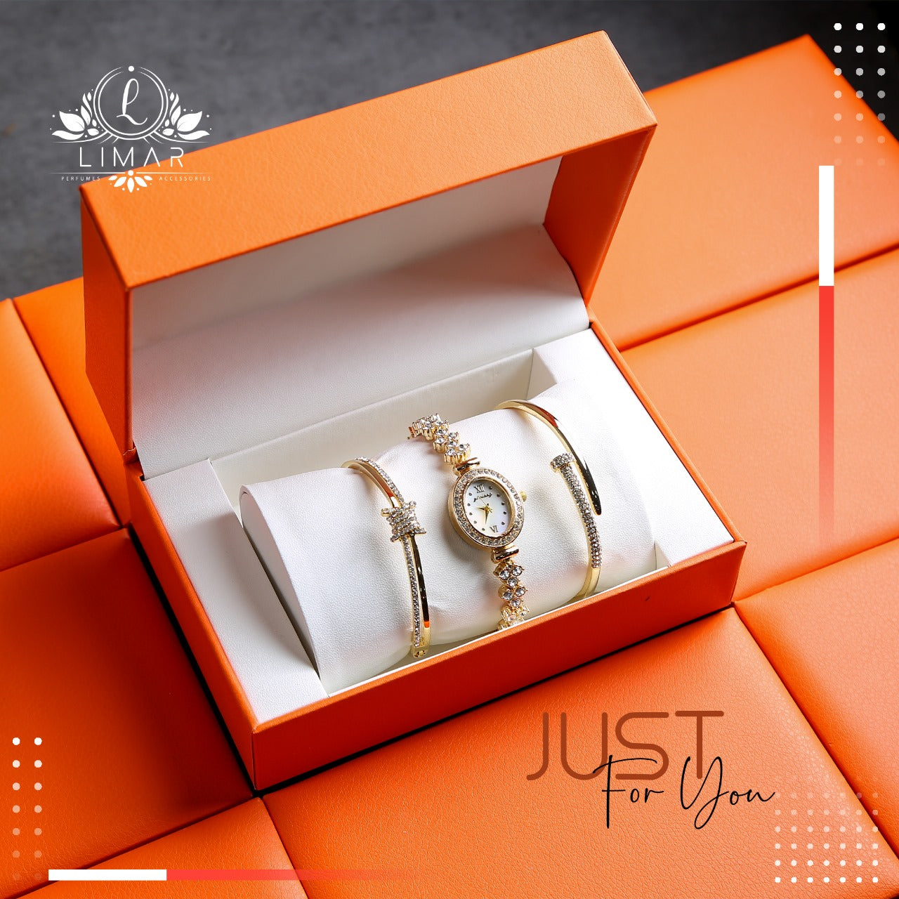 Watch and Accessories Set No 6